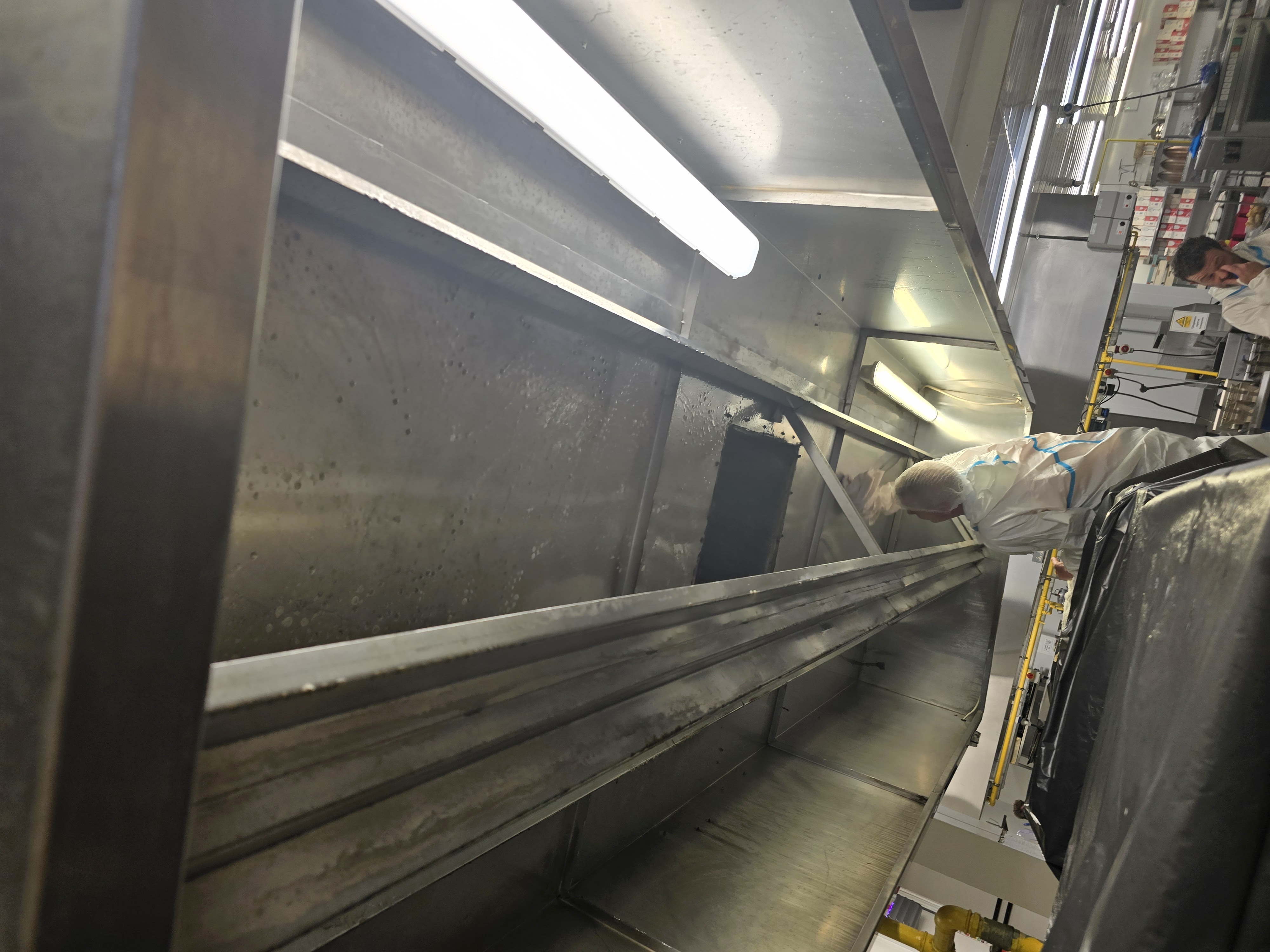 Professional cleaner in protective gear cleaning canopy system